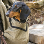 Gustav (Botzensteiners Zsoltan)