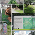 Göteborg Slottskogen (großer Stadtpark)